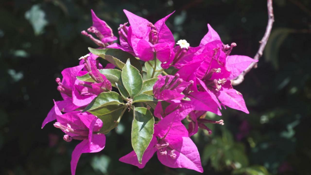 莫迪卡Antica Dimora San Filippo别墅 外观 照片