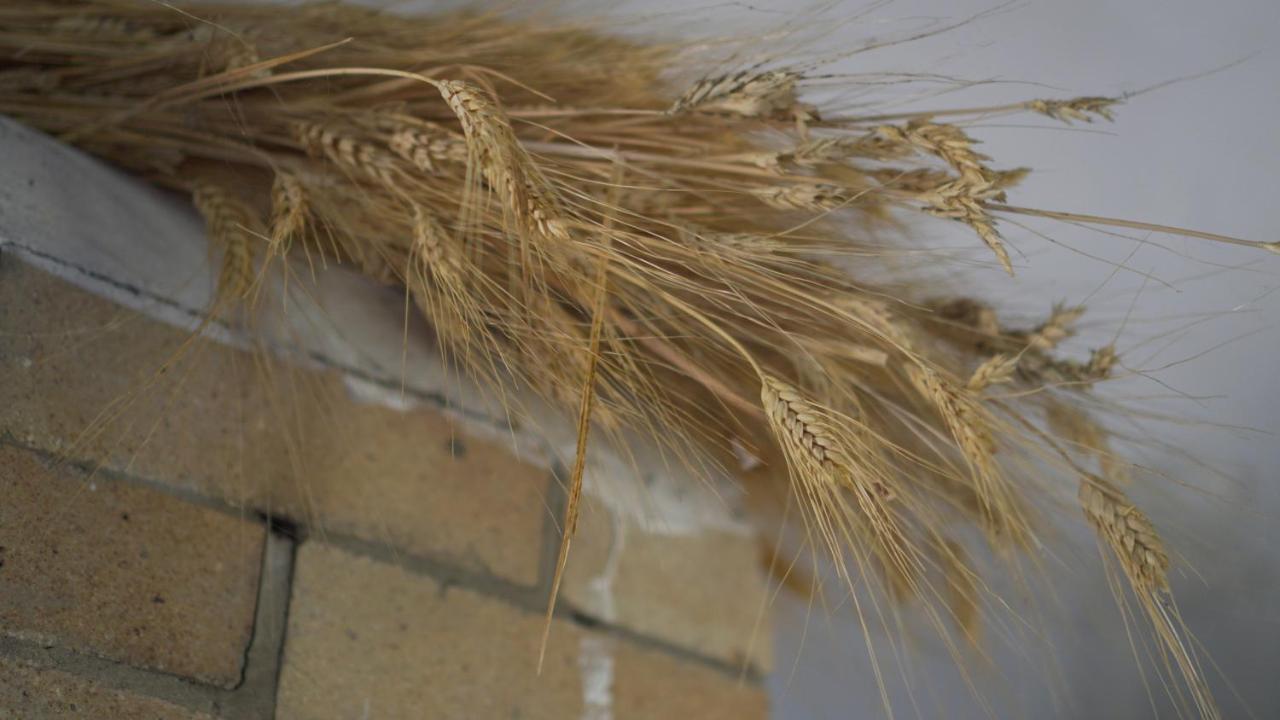 莫迪卡Antica Dimora San Filippo别墅 外观 照片